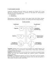 Logikos konspektas egzaminui 5 puslapis