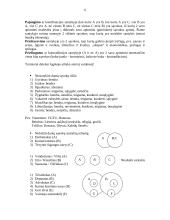 Logikos konspektas egzaminui 6 puslapis