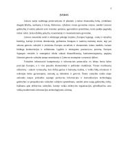 Informacinės visuomenės sąvoka, aspektai bei perspektyvos 2 puslapis