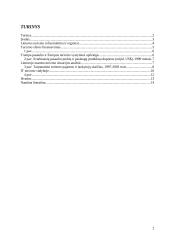 Informacinės sistemos turizmo sferoje 2 puslapis