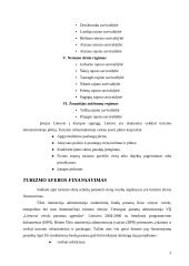 Informacinės sistemos turizmo sferoje 5 puslapis