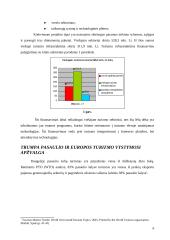 Informacinės sistemos turizmo sferoje 6 puslapis