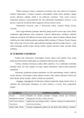 Informacinės sistemos turizmo sferoje 10 puslapis