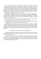 Informaciniai vidaus dokumentai 2 puslapis