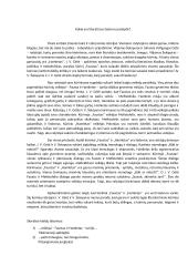 Kokia yra literatūros šedevro paslaptis? (kalba)