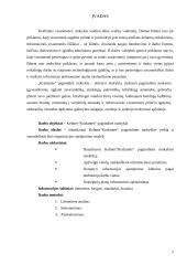 Informacinis aprūpinimas 2 puslapis