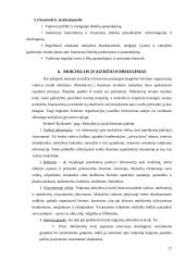 Informacinis aprūpinimas 12 puslapis