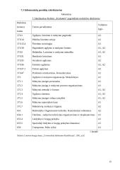 Informacinis aprūpinimas 15 puslapis