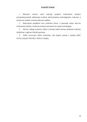 Informacinis aprūpinimas 18 puslapis