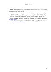 Informacinis aprūpinimas 19 puslapis