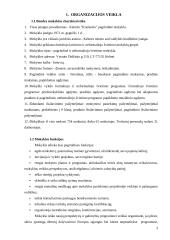 Informacinis aprūpinimas 3 puslapis