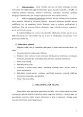 Informacinis aprūpinimas 7 puslapis