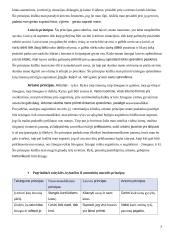 Asmeninių moralės principų santykio su baziniais profesinės etikos principais analizė: savirefleksija 2 puslapis