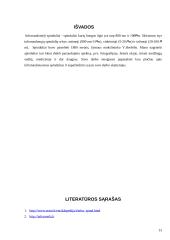 Infraraudonieji spinduliai bei šių spindulių panaudojimo galimybės 13 puslapis