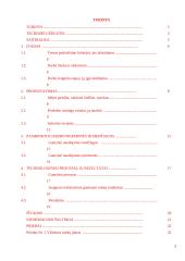 Salotos lavašo krepšeliuose jaunimo pobūvio švediškam stalui. Technologijų mokyklinio brandos egzamino darbo aprašas 2 puslapis