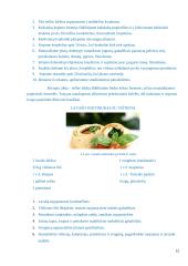 Salotos lavašo krepšeliuose jaunimo pobūvio švediškam stalui. Technologijų mokyklinio brandos egzamino darbo aprašas 12 puslapis