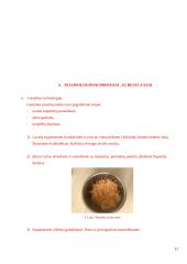 Salotos lavašo krepšeliuose jaunimo pobūvio švediškam stalui. Technologijų mokyklinio brandos egzamino darbo aprašas 17 puslapis