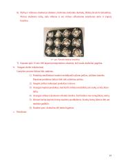 Salotos lavašo krepšeliuose jaunimo pobūvio švediškam stalui. Technologijų mokyklinio brandos egzamino darbo aprašas 19 puslapis