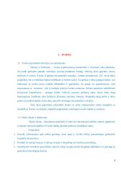 Salotos lavašo krepšeliuose jaunimo pobūvio švediškam stalui. Technologijų mokyklinio brandos egzamino darbo aprašas 6 puslapis