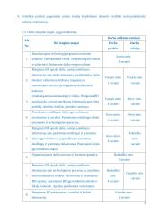 Salotos lavašo krepšeliuose jaunimo pobūvio švediškam stalui. Technologijų mokyklinio brandos egzamino darbo aprašas 7 puslapis