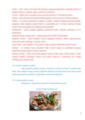 Salotos lavašo krepšeliuose jaunimo pobūvio švediškam stalui. Technologijų mokyklinio brandos egzamino darbo aprašas 9 puslapis