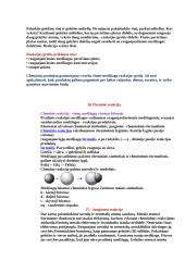 Fizikiniai ir cheminiai reiškiniai. Cheminių kitimų požymiai 3 puslapis