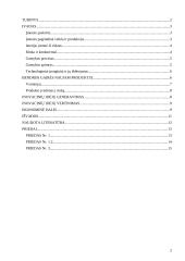 Inovacinių idėjų naujam produktui generavimas ir vertinimas: medžio apdirbimo įmonė 2 puslapis