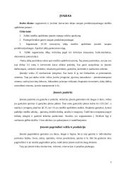 Inovacinių idėjų naujam produktui generavimas ir vertinimas: medžio apdirbimo įmonė 3 puslapis