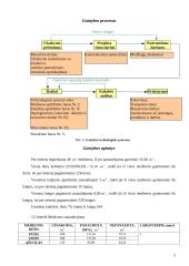 Inovacinių idėjų naujam produktui generavimas ir vertinimas: medžio apdirbimo įmonė 5 puslapis