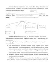 Instituciniai modeliai 7 puslapis