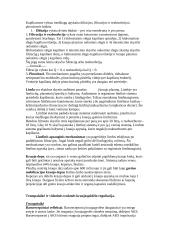 Širdies automatija, jos priežastys. Laidžioji sistema. EKG 5 puslapis