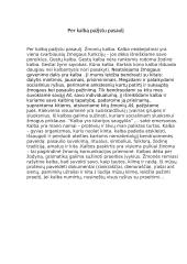 Per kalbą pažįstu pasaulį (pastraipa)