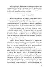 Interesų grupės Europos Sąjungos (ES) sprendimų priėmime 11 puslapis