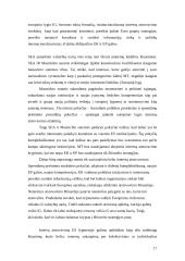 Interesų grupės Europos Sąjungos (ES) sprendimų priėmime 15 puslapis