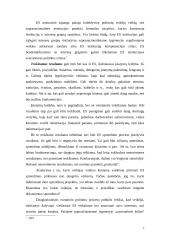 Interesų grupės Europos Sąjungos (ES) sprendimų priėmime 5 puslapis