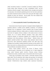 Interesų grupės Europos Sąjungos (ES) sprendimų priėmime 6 puslapis