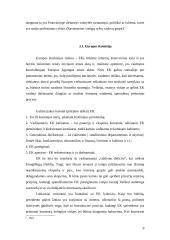 Interesų grupės Europos Sąjungos (ES) sprendimų priėmime 7 puslapis