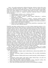 Knygos „Mažųjų vaidyba“ santrauka 2 puslapis