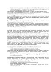 Knygos „Mažųjų vaidyba“ santrauka 3 puslapis