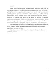 Interesų grupės Lietuvos politiniame gyvenime 2 puslapis