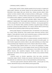 Interesų grupės Lietuvos politiniame gyvenime 3 puslapis