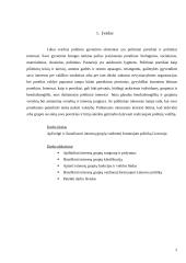 Interesų grupių vaidmuo formuojant politiką Lietuvoje 2 puslapis