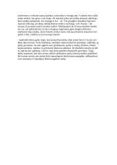 Kodėl jauni žmonės nori maištauti? Kalba su planu 2 puslapis