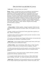 Kodėl jauni žmonės nori maištauti? Kalba su planu 3 puslapis