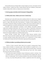 Interesų grupių vaidmuo formuojant viešąją politiką 11 puslapis