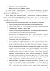 Interesų grupių vaidmuo formuojant viešąją politiką 3 puslapis