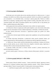 Interesų grupių vaidmuo formuojant viešąją politiką 6 puslapis