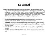 Bendri išgyvenimo atokioje vietovėje principai (skaidrės) 16 puslapis