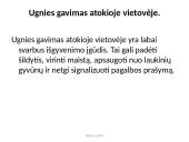 Bendri išgyvenimo atokioje vietovėje principai (skaidrės) 8 puslapis