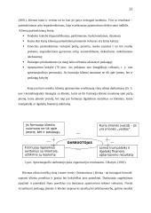 UAB „Kesko Senukai Lithuania“ klientų aptarnavimo kokybės tyrimas 11 puslapis